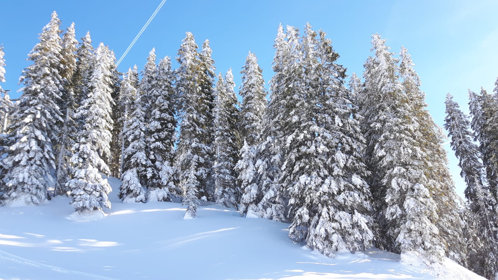 IMG-20190210-WA0004